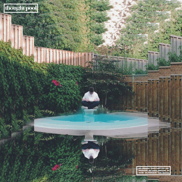 Thought Pool album cover