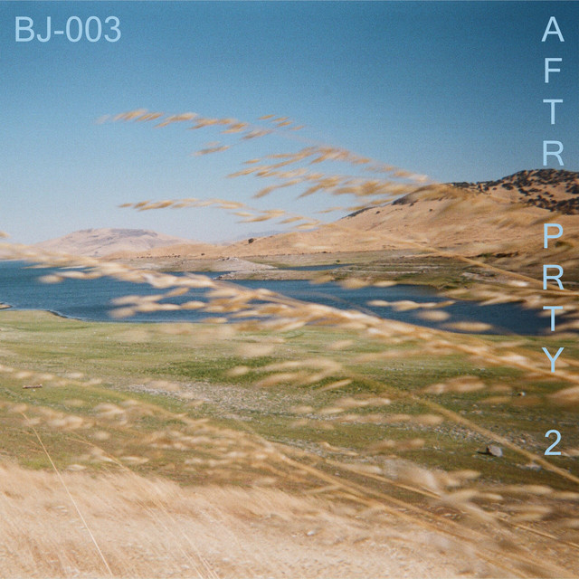 AFTR PRTY 2 album cover