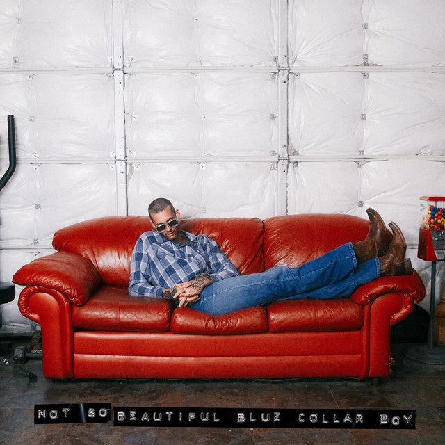 Not So Beautiful Blue Collar Boy album cover