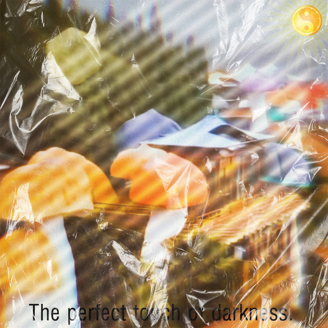 The Perfect Touch of Darkness album cover