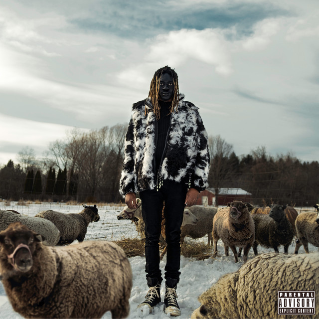 3 album cover