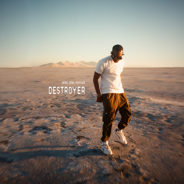 Destroyer album cover