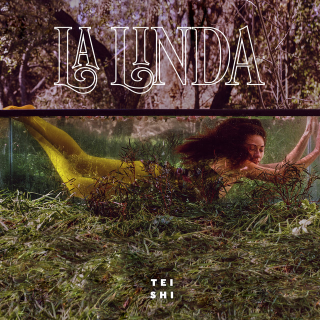 La Linda album cover