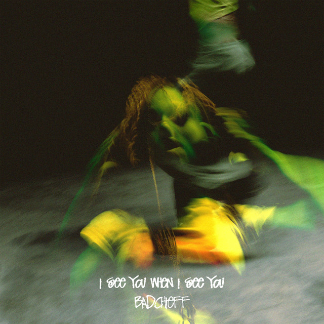 I SEE YOU WHEN I SEE YOU album cover