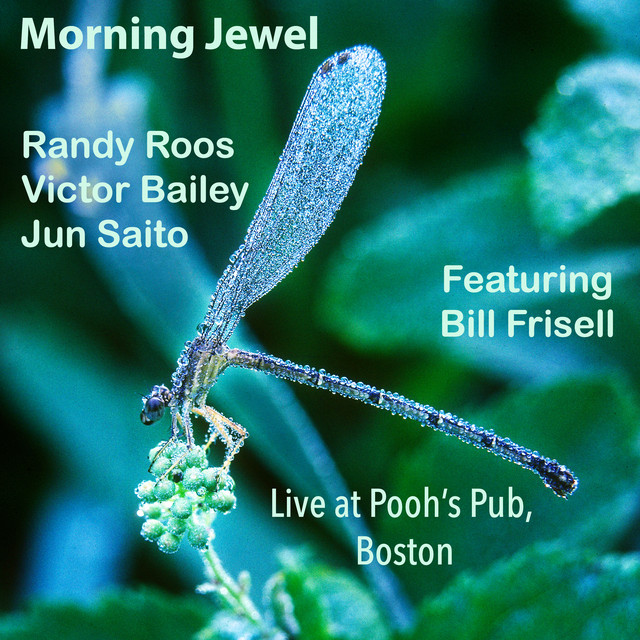 Morning Jewel (Live at Pooh's Pub, Boston, January 17, 1981) album cover