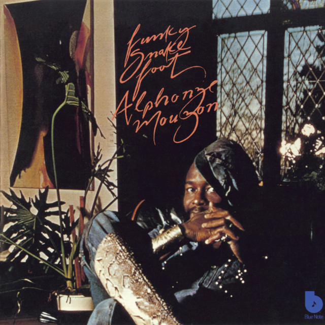 Funky Snakefoot album cover