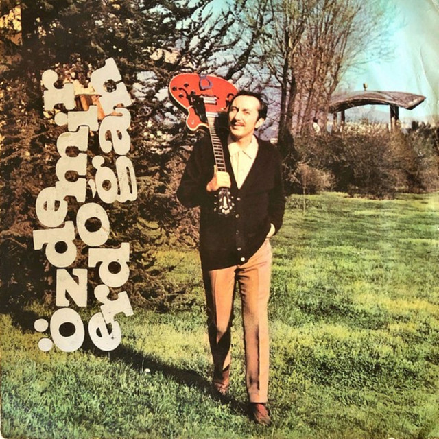 Duyduk Duymadık Demeyin album cover