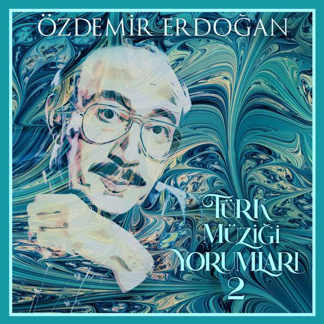 Türk Müziği Yorumları, Vol. 2 album cover