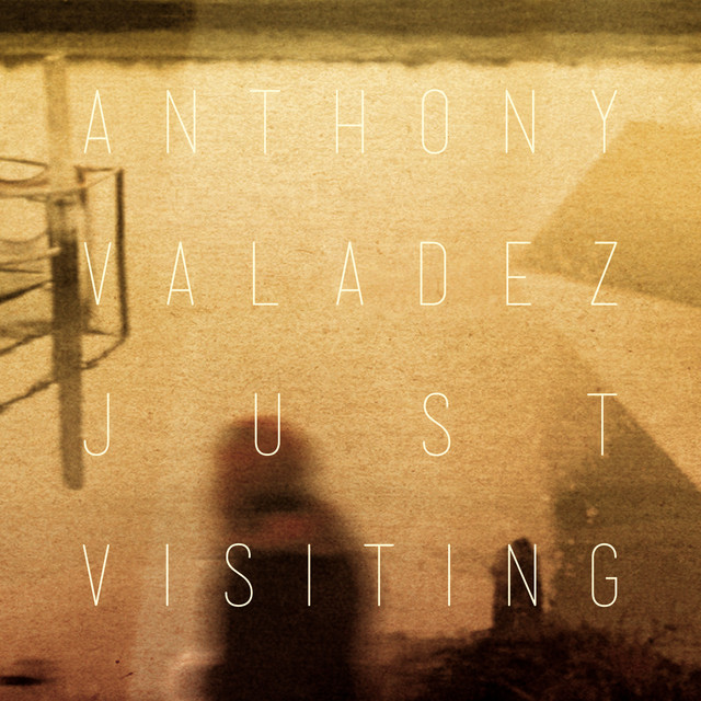 Just Visiting album cover