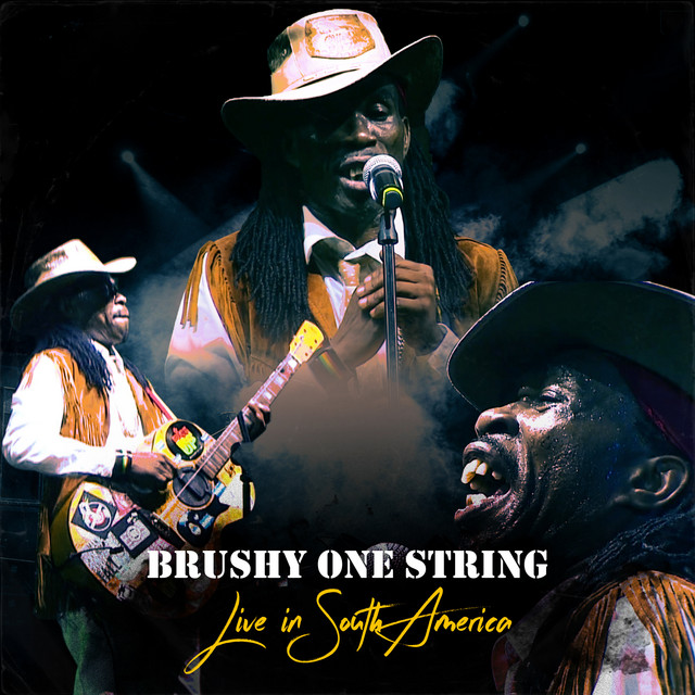 Live In South America album cover