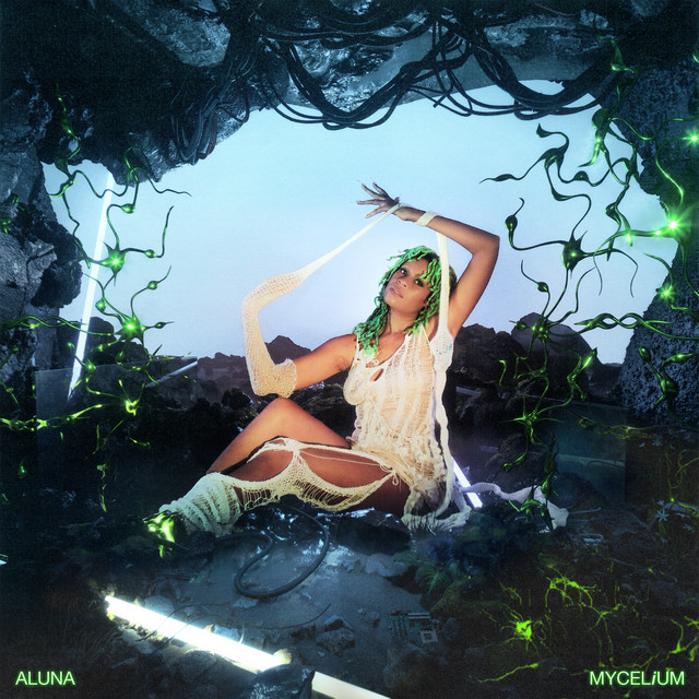 MYCELiUM album cover