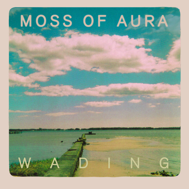 Wading album cover