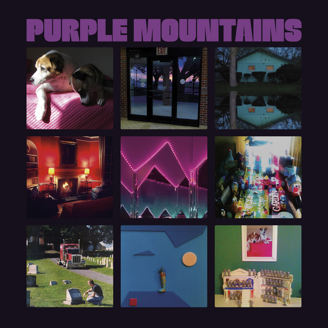 Purple Mountains album cover
