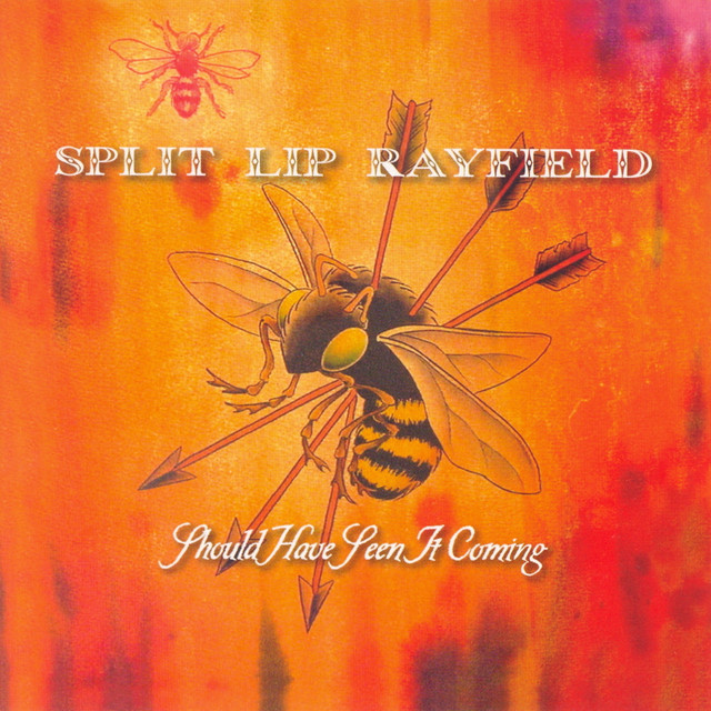 Should Have Seen It Coming album cover
