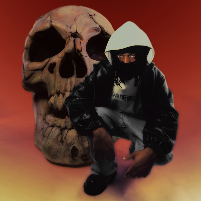 Viceroy album cover
