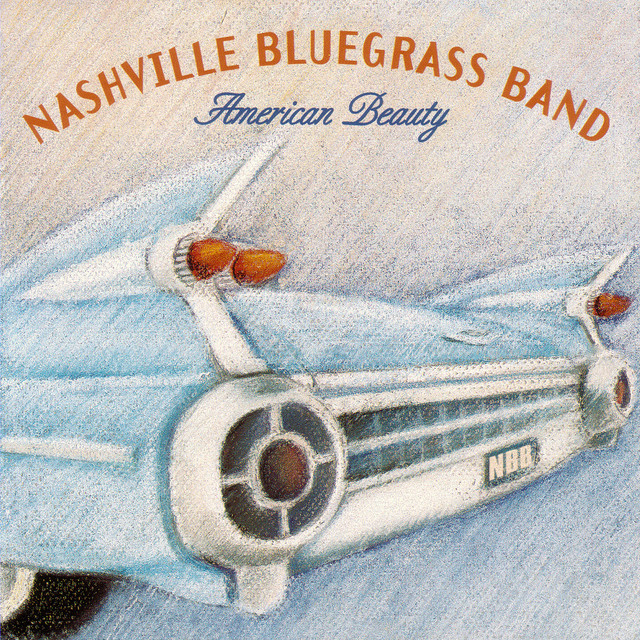 American Beauty album cover