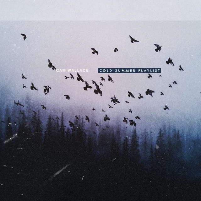 Cold Summer Playlist album cover
