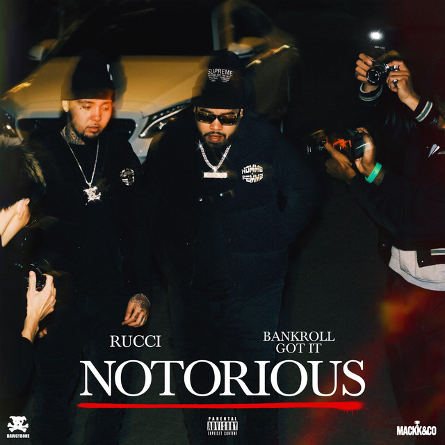 Notorious album cover