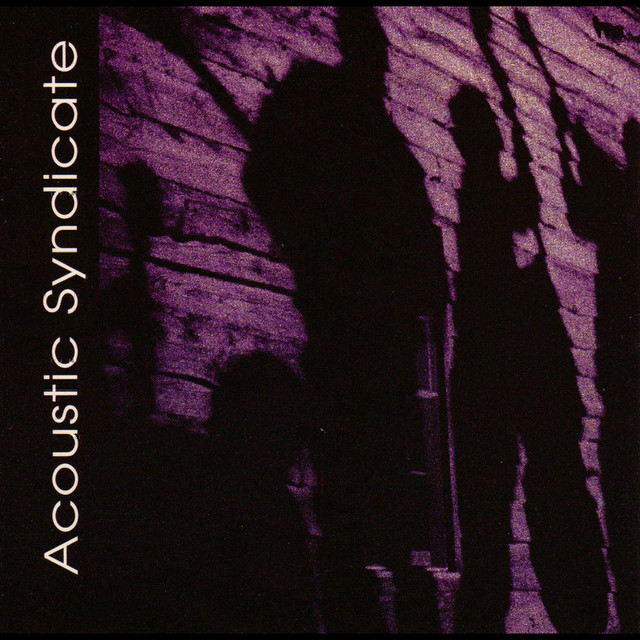 Acoustic Syndicate album cover