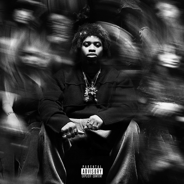 KING OF THE MISCHIEVOUS SOUTH album cover
