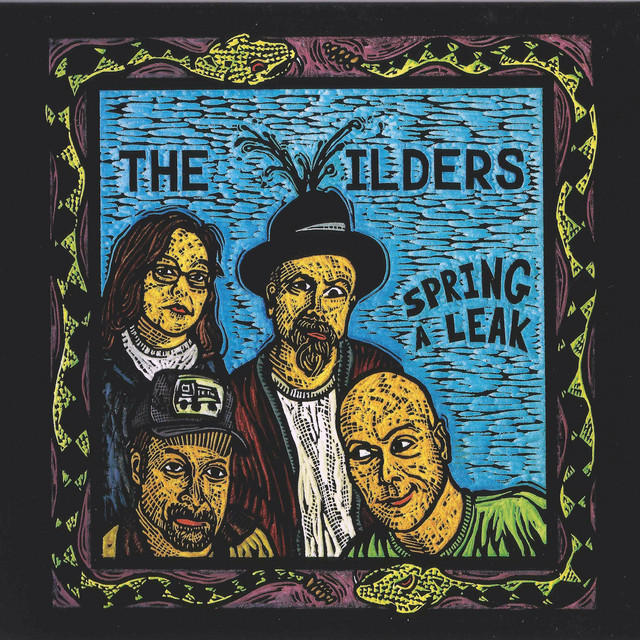 Spring a Leak album cover