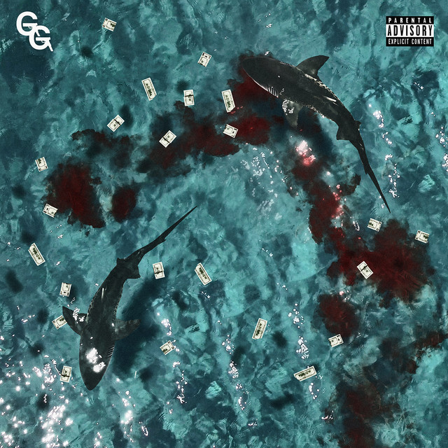 Don't Feed The Sharks album cover