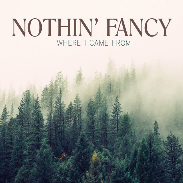 Where I Came From album cover
