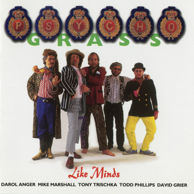Like Minds album cover