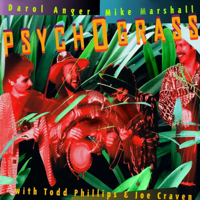 Psychograss album cover