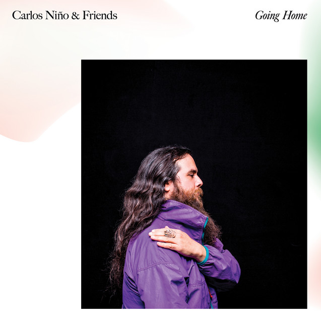 Going Home album cover