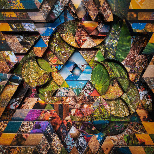 Les Jardins Mystiques Vol.1 album cover