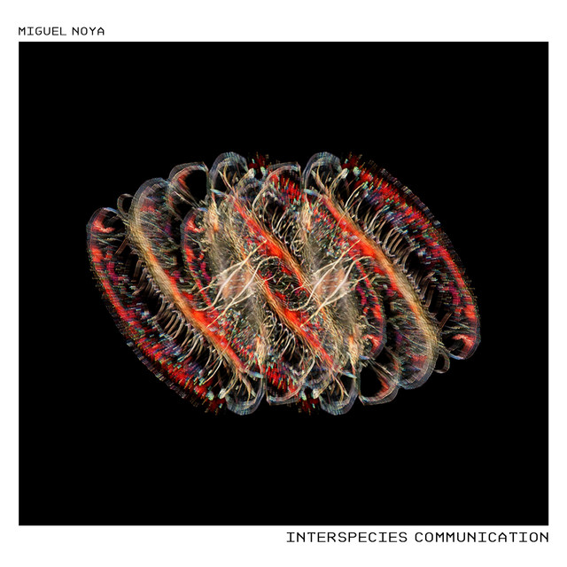 Interspecies Communication album cover