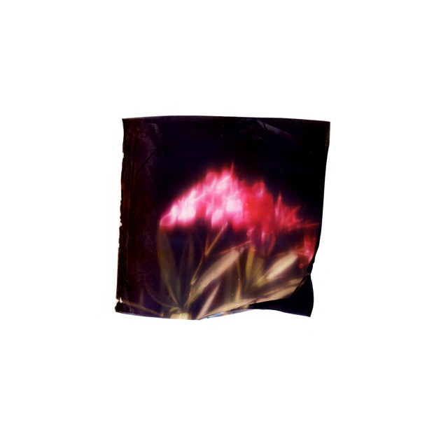 Postcards from Nowhere album cover