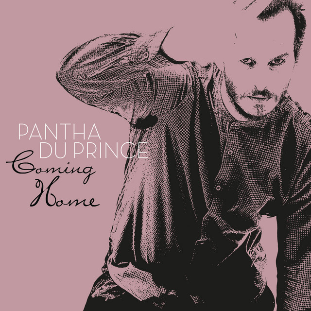 Coming Home by Pantha du Prince album cover