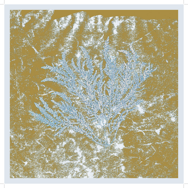 For Those Of You Who Have Never (And Also Those Who Have) album cover