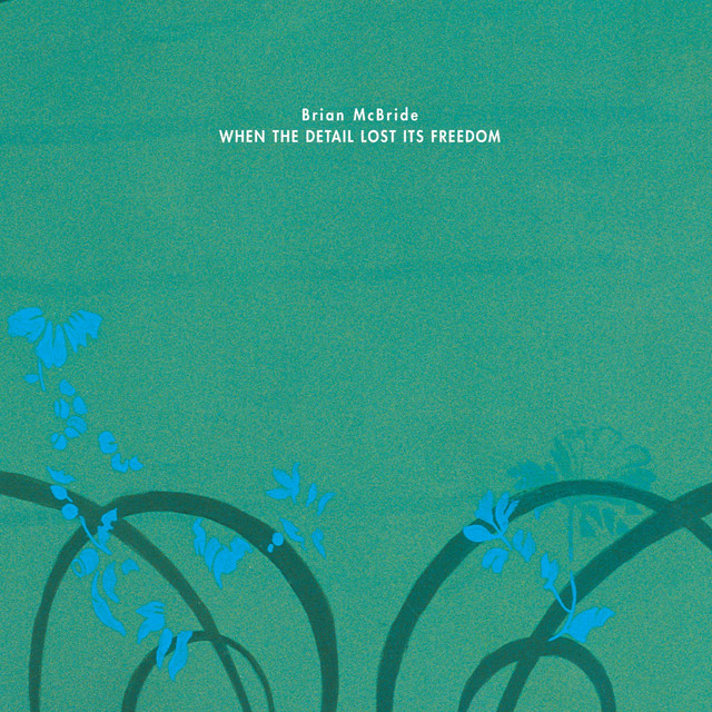 When the Detail Lost Its Freedom album cover