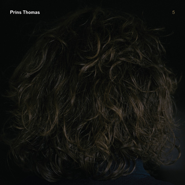 Prins Thomas 5 album cover