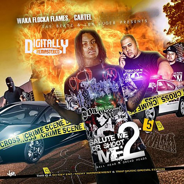 Salute Me or Shoot Me 2.5