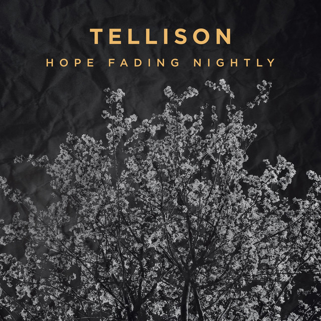 Hope Fading Nightly album cover