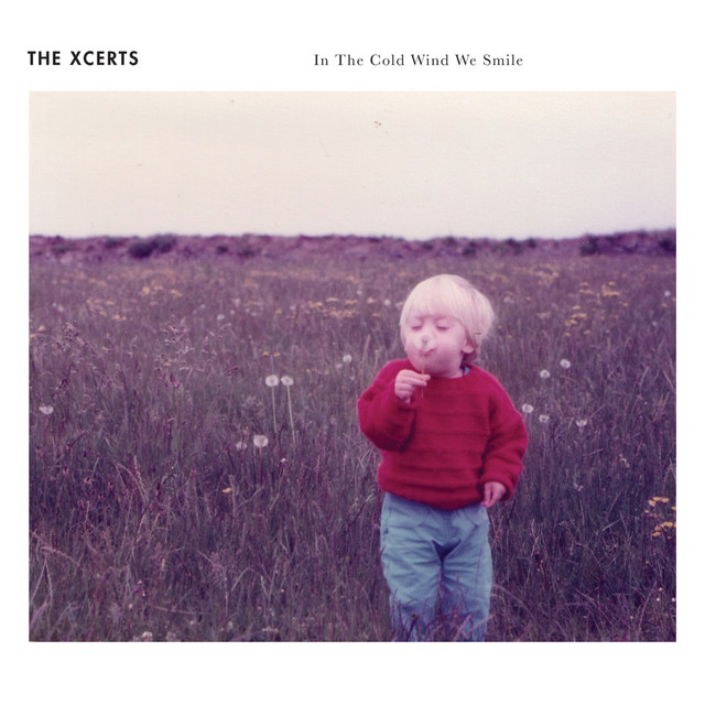 In the Cold Wind We Smile (10th Anniversary Edition) album cover