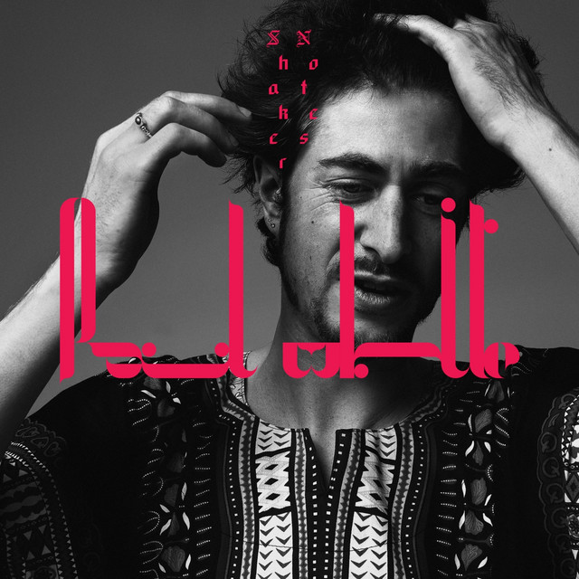 Shaker Notes album cover