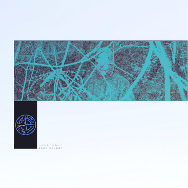 lost sounds album cover