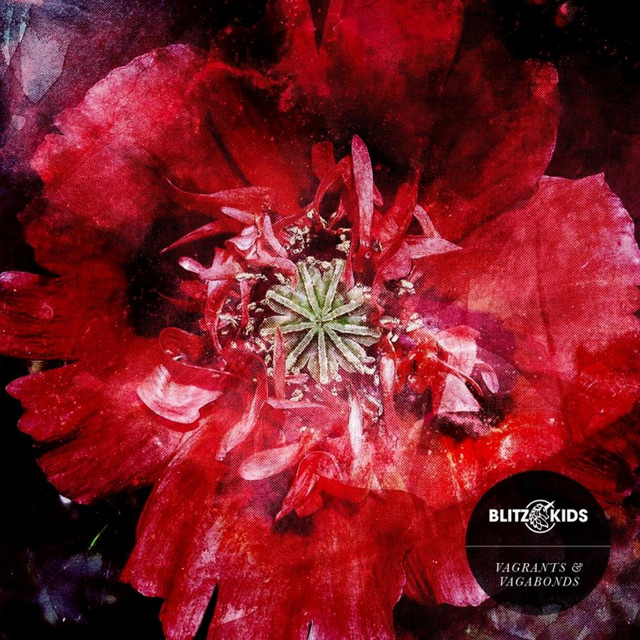 Vagrants & Vagabonds album cover