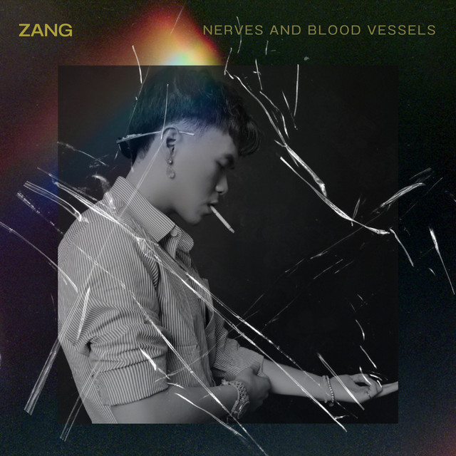 NERVES AND BLOOD VESSELS album cover