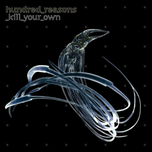 Kill Your Own album cover
