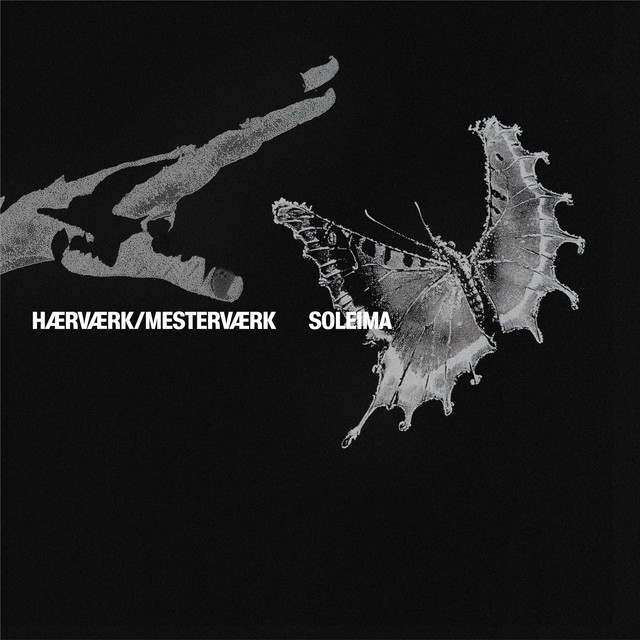 Hærværk/Mesterværk album cover