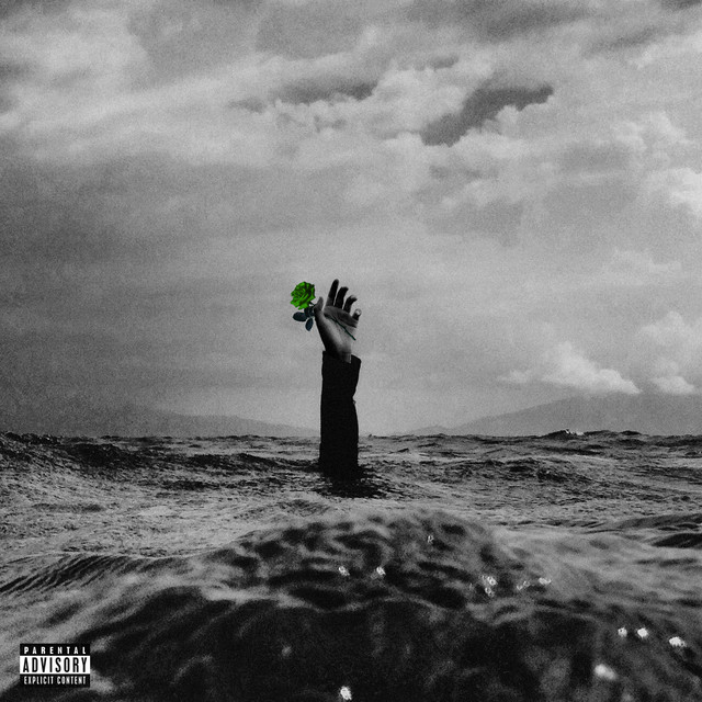 I Will Not Let My Love Go To Waste album cover