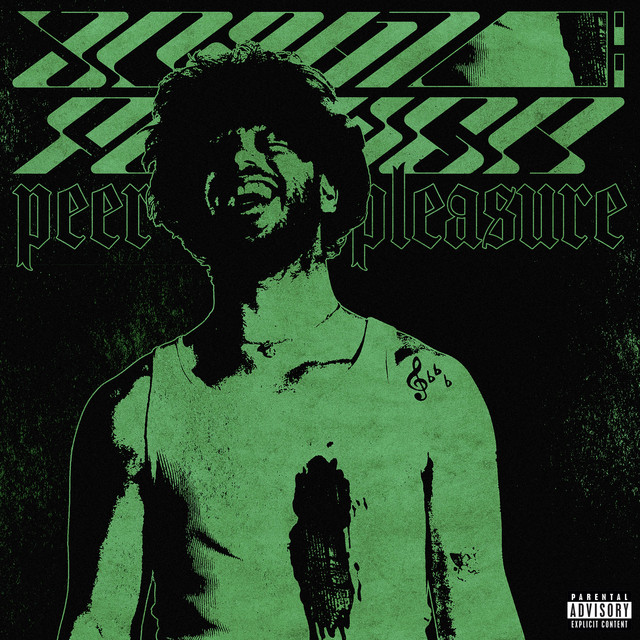 PEER PLEASURE album cover