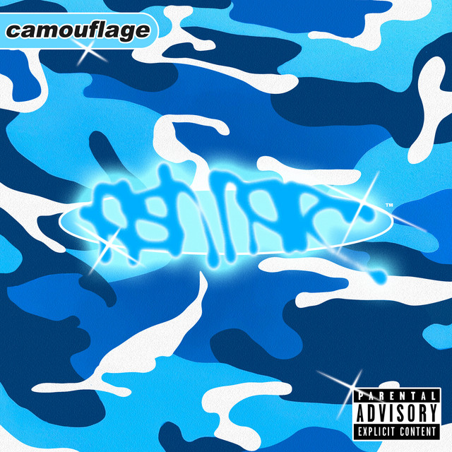 Camouflage album cover