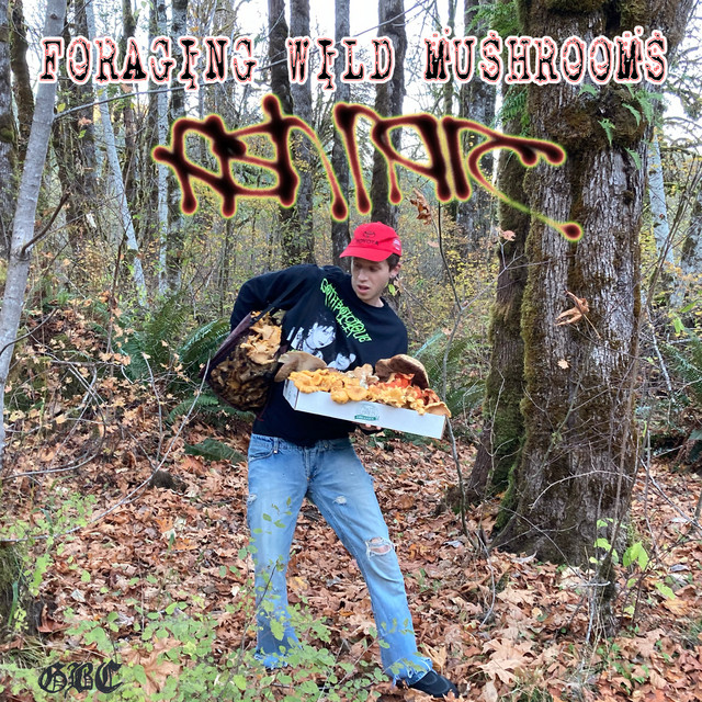 Foraging Wild Mushrooms album cover